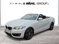 BMW 220 d CABRIO SPORT LINE AUT NAVI PROF LEDER ALARM GRA Wit - thumbnail 1
