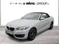 BMW 220 d CABRIO SPORT LINE AUT NAVI PROF LEDER ALARM GRA Wit - thumbnail 2