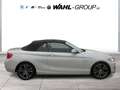BMW 220 d CABRIO SPORT LINE AUT NAVI PROF LEDER ALARM GRA Wit - thumbnail 5