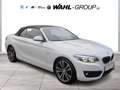BMW 220 d CABRIO SPORT LINE AUT NAVI PROF LEDER ALARM GRA Wit - thumbnail 4
