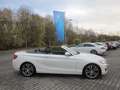 BMW 220 d CABRIO SPORT LINE AUT NAVI PROF LEDER ALARM GRA Wit - thumbnail 13