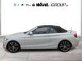 BMW 220 d CABRIO SPORT LINE AUT NAVI PROF LEDER ALARM GRA Wit - thumbnail 9