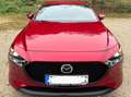 Mazda 3 3 SKYACTIV-G 2.0 M-HybridSELECTION Rot - thumbnail 6