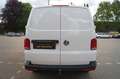 Volkswagen T6 Transporter Kasten lang Anhängerk. BT Ra. PDC Weiß - thumbnail 6