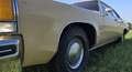 Oldsmobile Delta 88 Beige - thumbnail 11