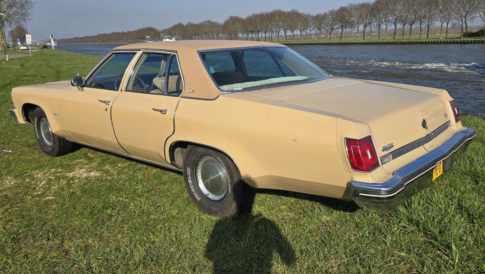 Oldsmobile Delta 88 Beige - 2