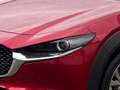Mazda CX-30 SKYACTIV-X180/AWD/GT+/SOUND/PREMIUM/TECH Rot - thumbnail 7