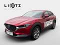 Mazda CX-30 SKYACTIV-X180/AWD/GT+/SOUND/PREMIUM/TECH Rot - thumbnail 1