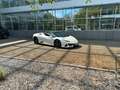 Lamborghini Huracán EVO Spyder AWD Balloon White*LIFT*Garant Blanc - thumbnail 2