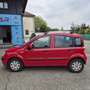 Fiat Panda Panda 1.2 Dynamic - thumbnail 2