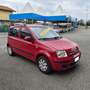 Fiat Panda Panda 1.2 Dynamic - thumbnail 7