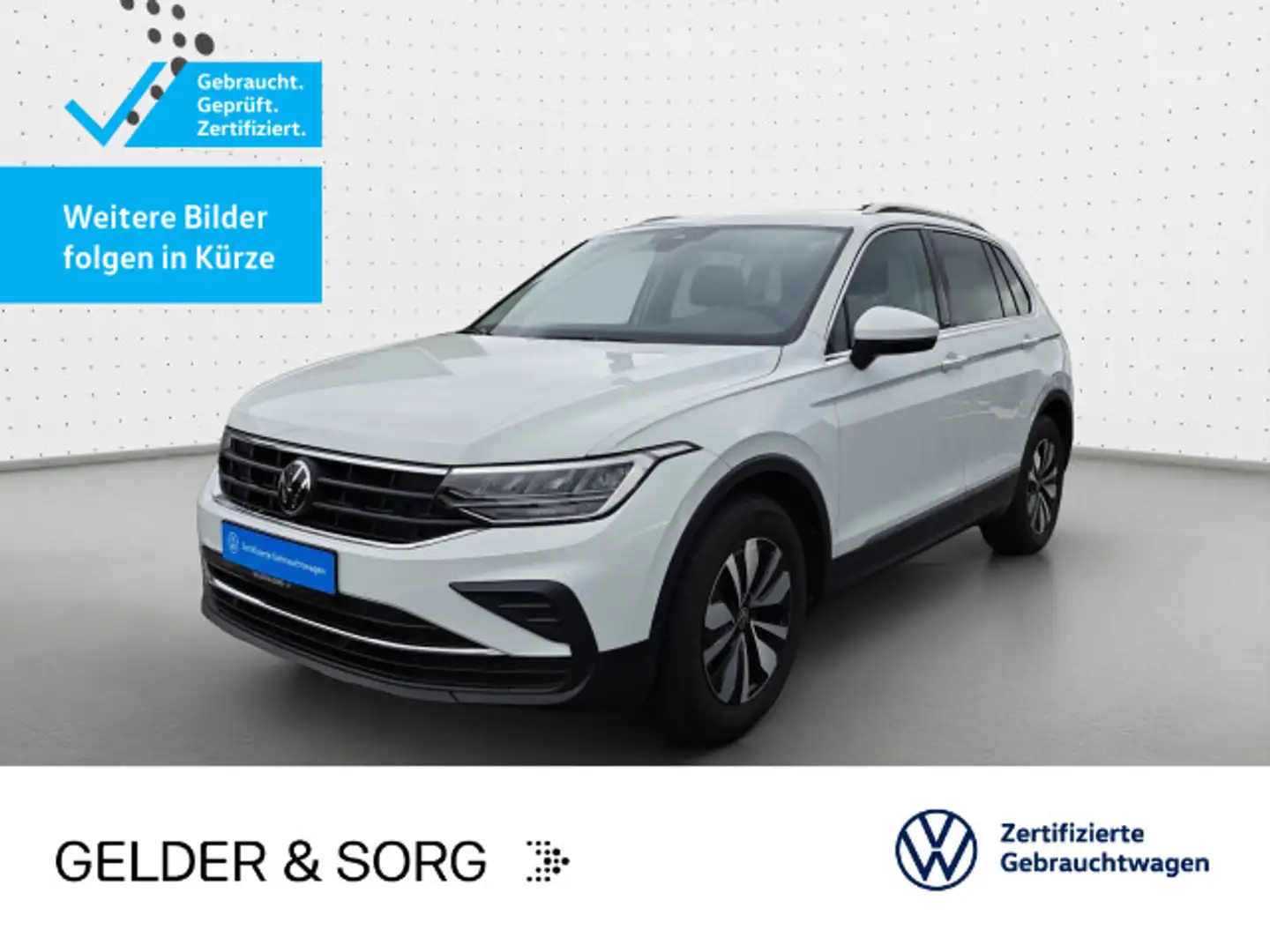 Volkswagen Tiguan Life 1.5 TSI Pano*Stand*AHK*RFK*ACC*Navi Wit - 1
