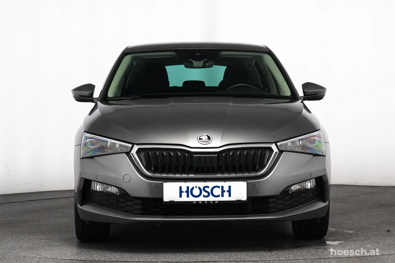 Skoda Scala TSI Style ALCANTARA KAMERA JETZT RESERVIEREN Grau - 2