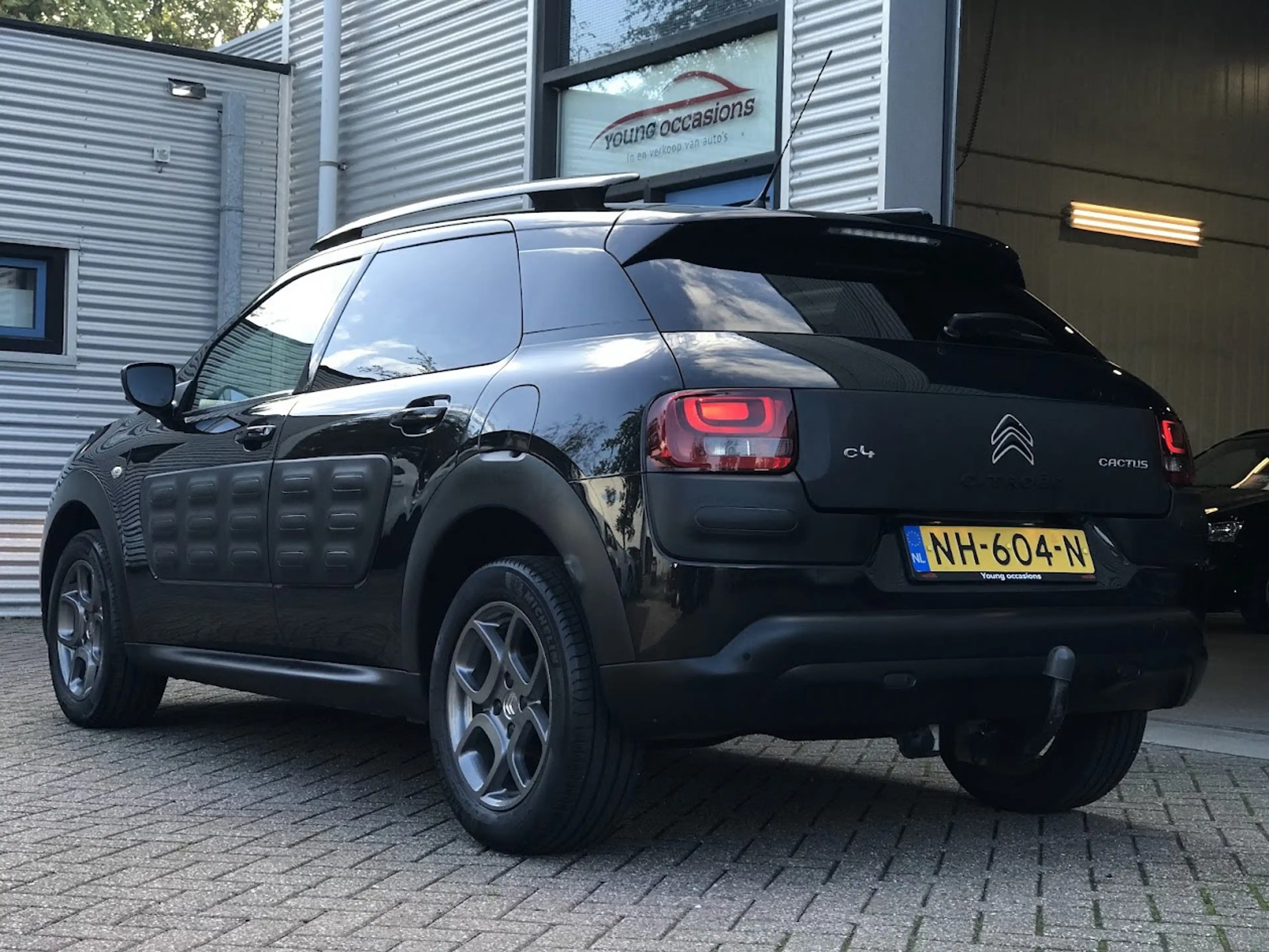 Citroen C4 Cactus 1.2 PureTech Shine|Navi|Cruise|Camera|Automaat|DAB — photo 8