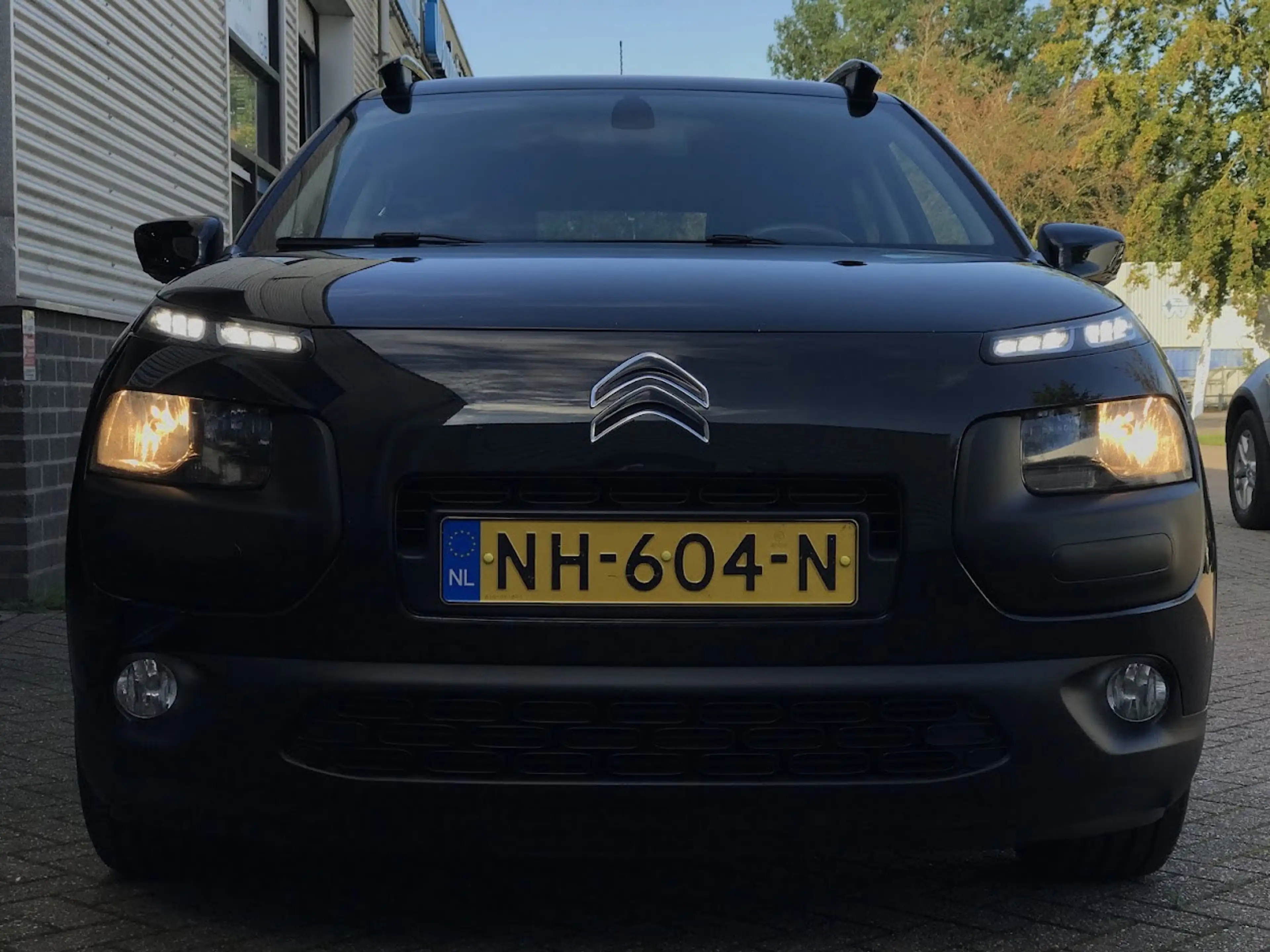Citroen C4 Cactus 1.2 PureTech Shine|Navi|Cruise|Camera|Automaat|DAB — photo 7