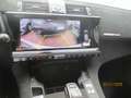 DS Automobiles DS 7 Crossback DS 7 Crossback BlueHDi 130 aut. Performance Line Blanc - thumbnail 14