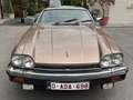 Jaguar XJS Marrone - thumbnail 11