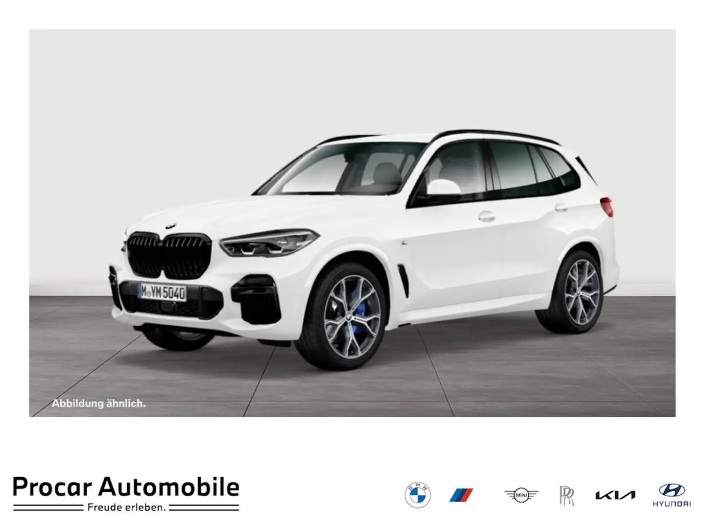 BMW X5 xDrive30d M-Sport Aut Nav LED Drive+Park HiFi 21" Weiß - 1