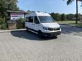 Volkswagen Crafter /TGE 3.140 MR Hoch, Automatik, Systemboden, 6 Einz Weiß - thumbnail 3