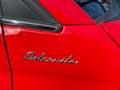 Fiat 500 1.0 hybrid Dolcevita 70cv 23.000km NEOPATENTATI Rojo - thumbnail 12