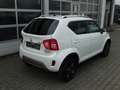 Suzuki Ignis Comfort+ 1,2 4x4 Allradantrieb Weiß - thumbnail 3