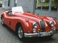 Jaguar XK 140 OTS Roadster Rot - thumbnail 4