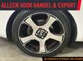 Kia Rio 1.2 CVVT Super Pack Airco - Export! Wit - thumbnail 16