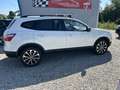 Nissan Qashqai+2 Qashqai+2 2.0 dCi Aut. 4X4 Kamera 360° 7-Sitzer Bílá - thumbnail 7
