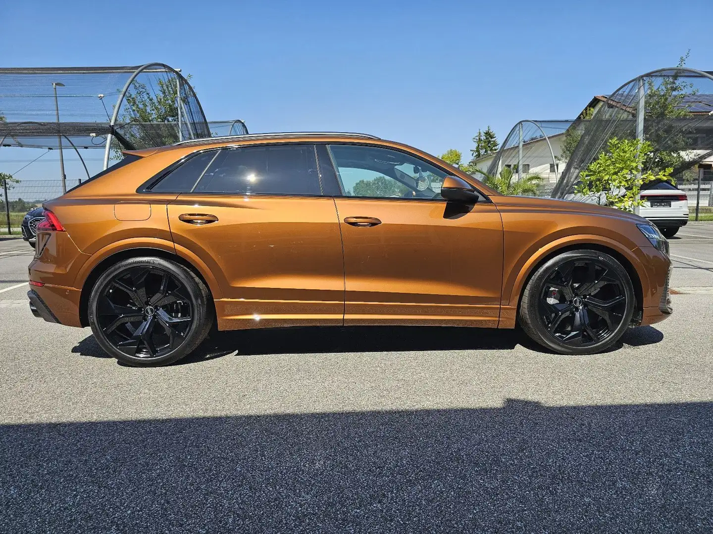 Audi RS Q8 quattro S-line Audi exclusive IPANEMABRAUN Braun - 2