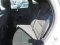 Ford Kuga ST-Line,2Z-Klima,AHK schwenkb.,PPv+h+Cam Blanc - thumbnail 6