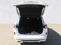 Ford Kuga ST-Line,2Z-Klima,AHK schwenkb.,PPv+h+Cam Blanc - thumbnail 5