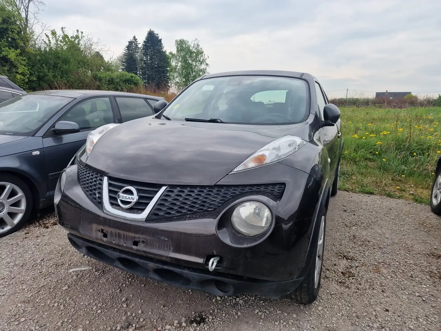 Nissan Juke 1.5 dCi 110 FAP Tekna - 1