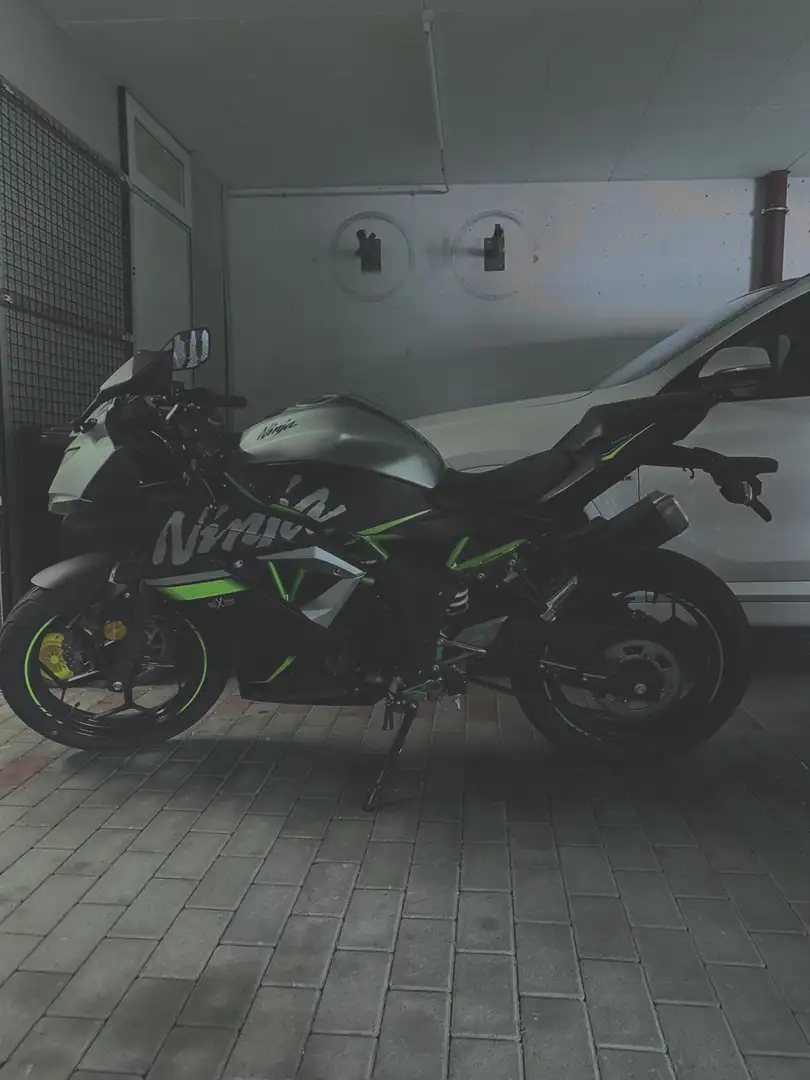 Kawasaki Ninja 125 Vert - 2