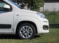 Fiat New Panda 1.2 Lounge s&s 69cv Bianco - thumbnail 5