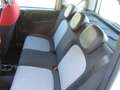 Fiat New Panda 1.2 Lounge s&s 69cv Bianco - thumbnail 8