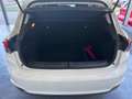 Fiat Tipo Tipo SW 1.6 mjt Easy s - thumbnail 18