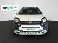 Fiat Panda Fiat Pandina 1,0 GSE 70 PS Cross Hybrid Blanco - thumbnail 2