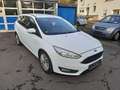 Ford Focus Turnier Business Weiß - thumbnail 8