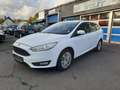 Ford Focus Turnier Business Weiß - thumbnail 1