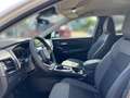 Nissan Qashqai e-Power N-Connecta Winter & Komfort-Pake Weiß - thumbnail 11