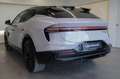 Lotus Eletre 600 GT SE - 109 kWh 4WD EDS Grau - thumbnail 6