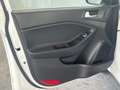 Hyundai i20 i20 5p 1.1 crdi Go! Brasil Bianco - thumbnail 10