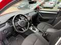 Skoda Octavia Drive Led Panorama Navi  Anhänger Rot - thumbnail 12