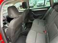 Skoda Octavia Drive Led Panorama Navi  Anhänger Rouge - thumbnail 13