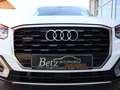 Audi Q2 quattro sport Virtual SHZ PDC LED Blanc - thumbnail 3