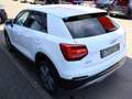Audi Q2 quattro sport Virtual SHZ PDC LED Blanc - thumbnail 15