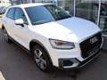 Audi Q2 quattro sport Virtual SHZ PDC LED Blanc - thumbnail 4