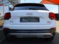 Audi Q2 quattro sport Virtual SHZ PDC LED Blanc - thumbnail 14