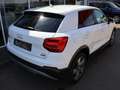 Audi Q2 quattro sport Virtual SHZ PDC LED Blanc - thumbnail 9