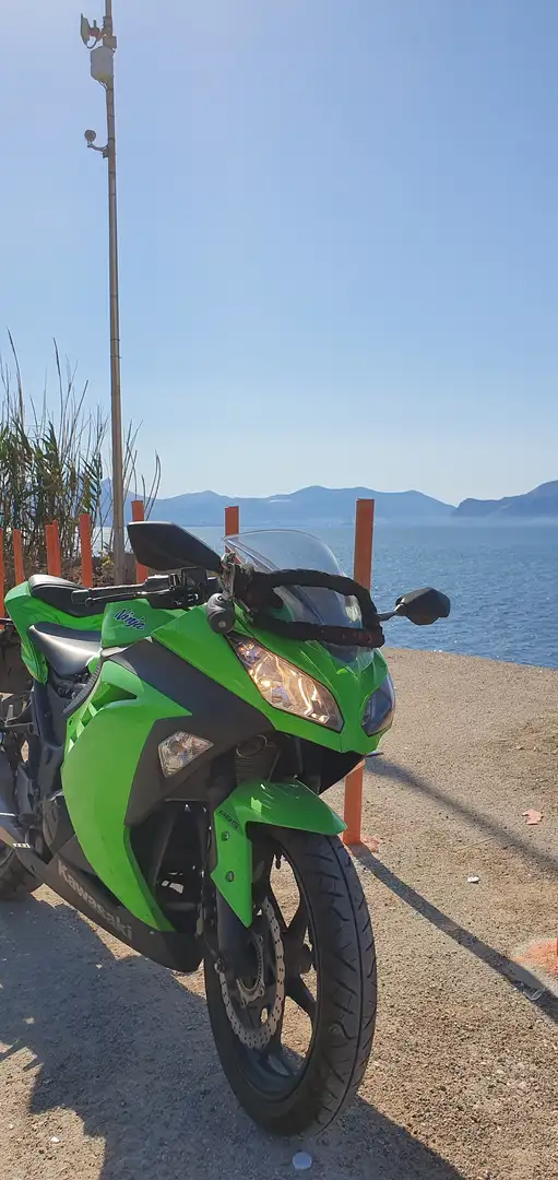Kawasaki Ninja 300 abs - 2